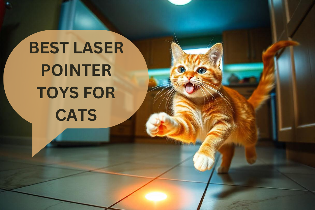 Laser Pointer Toys for Cats